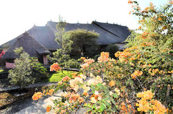 Beautiful Gardens